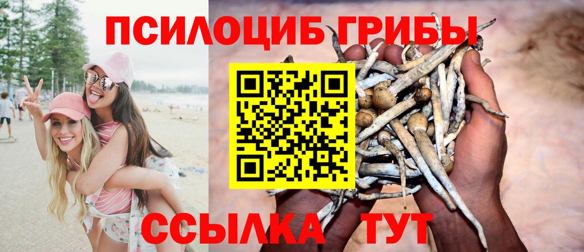 Галлюциногенные грибы Cubensis  Вход с VPN  Железноводск 